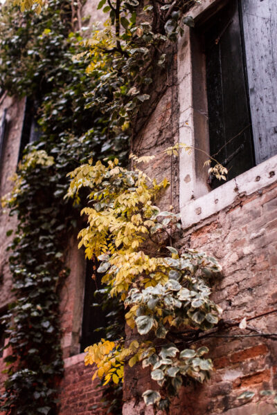 Hotel Flora
